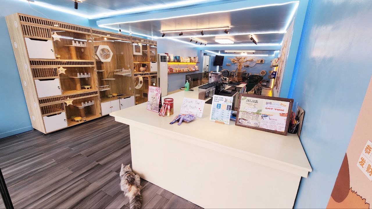 Shop Interior View 2