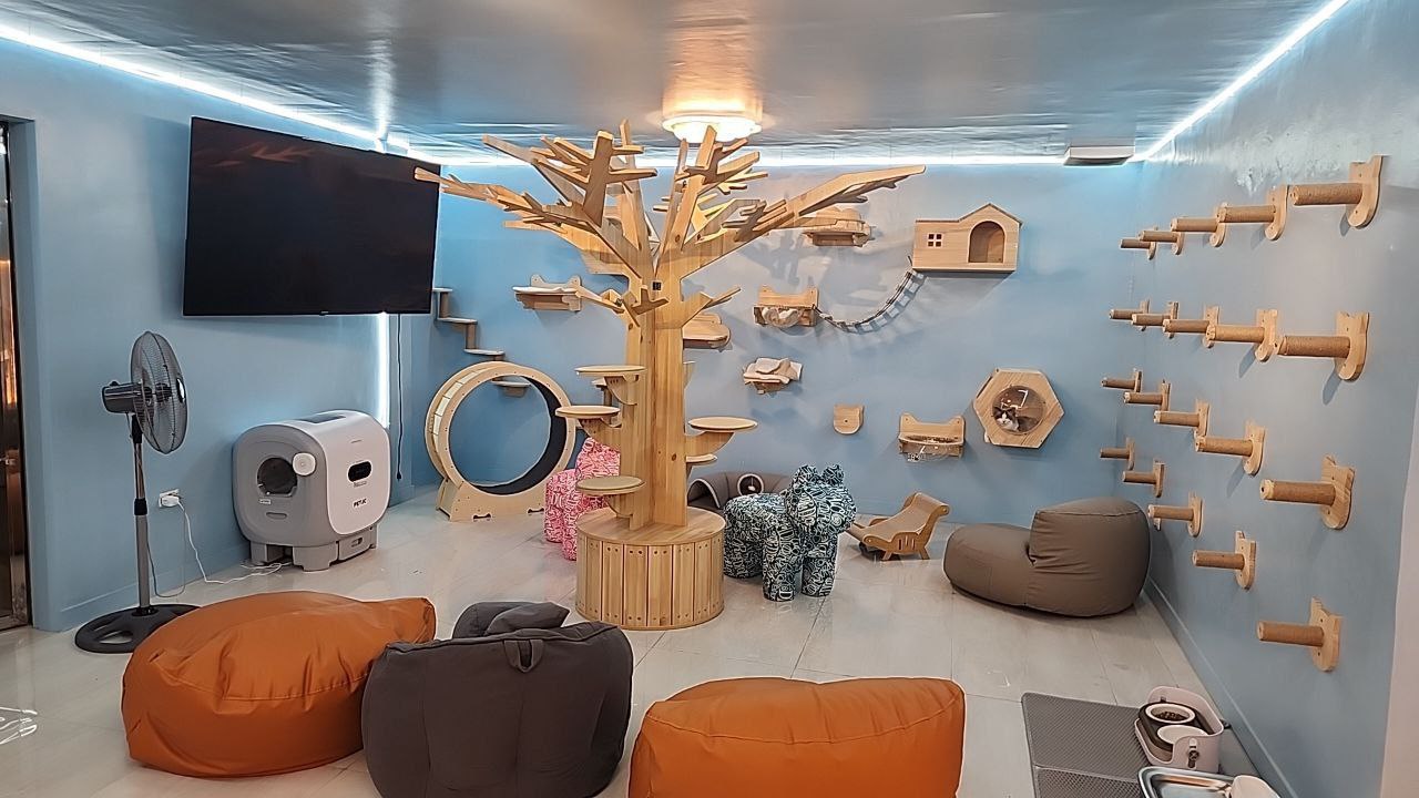 Shop Interior View 3