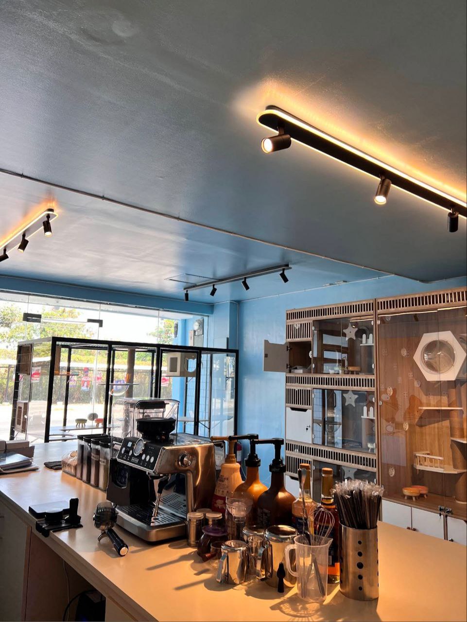 Shop Interior View 3